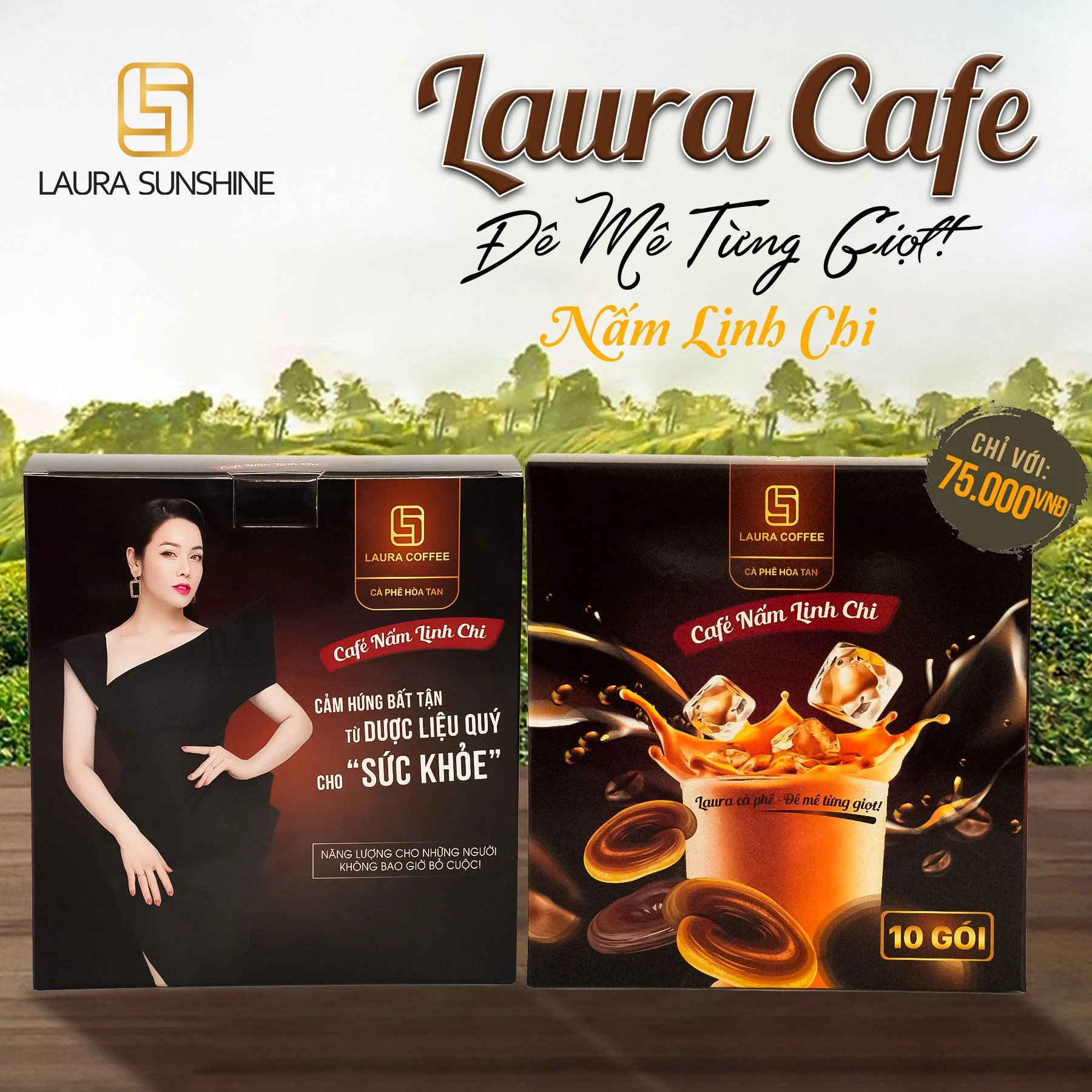 Cà Phê Nấm Linh Chi